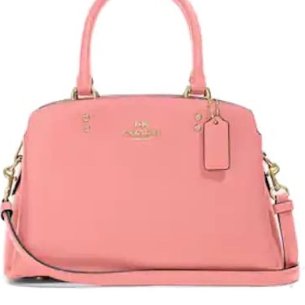 COPY - Beautiful new Coach mini lily purse 👛
